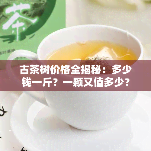 古茶树价格全揭秘：多少钱一斤？一颗又值多少？