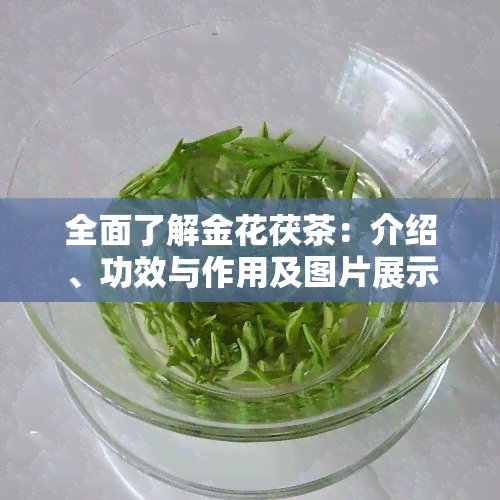 全面了解金花茯茶：介绍、功效与作用及图片展示