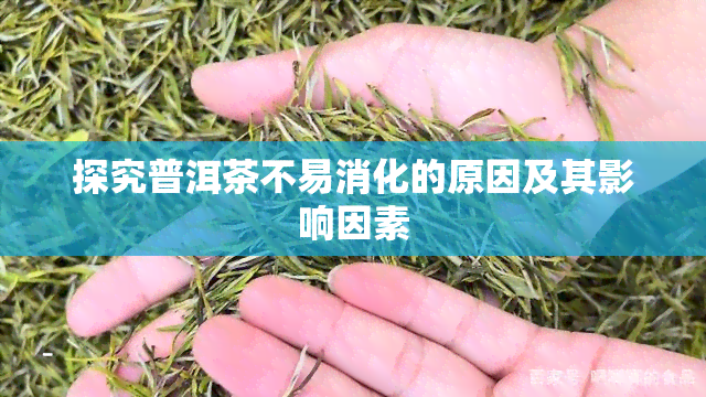 探究普洱茶不易消化的原因及其影响因素