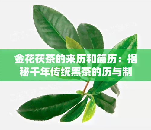 金花茯茶的来历和简历：揭秘千年传统黑茶的历与制作工艺