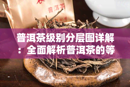 普洱茶级别分层图详解：全面解析普洱茶的等级划分与特点