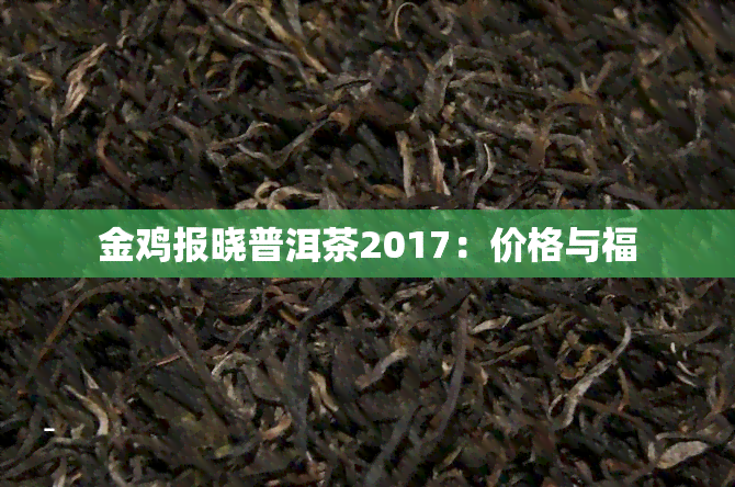 金鸡报晓普洱茶2017：价格与福