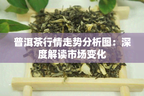 普洱茶行情走势分析图：深度解读市场变化