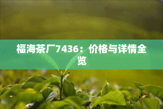 福海茶厂7436：价格与详情全览