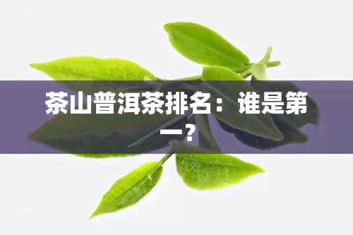 茶山普洱茶排名：谁是之一？