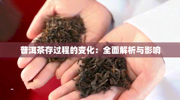 普洱茶存过程的变化：全面解析与影响