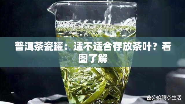 普洱茶瓷罐：适不适合存放茶叶？看图了解