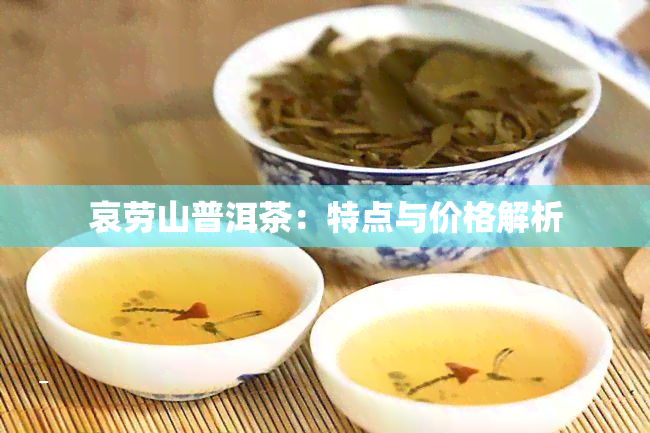 哀劳山普洱茶：特点与价格解析