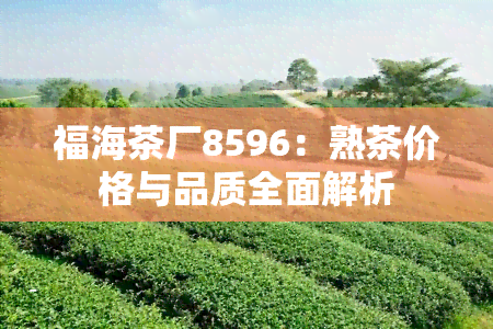 福海茶厂8596：熟茶价格与品质全面解析