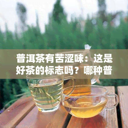 普洱茶有苦涩味：这是好茶的标志吗？哪种普洱茶口感偏苦涩？