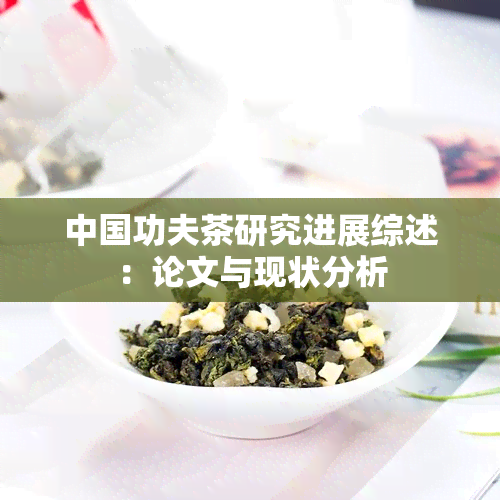 中国功夫茶研究进展综述：论文与现状分析