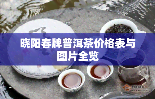 晓阳春牌普洱茶价格表与图片全览