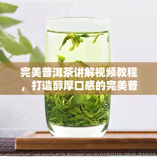 完美普洱茶讲解视频教程，打造醇厚口感的完美普洱茶：详解泡制技巧与品鉴方法