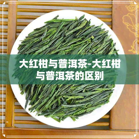 大红柑与普洱茶-大红柑与普洱茶的区别