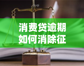 消费贷逾期如何消除记录？详解步骤与方法