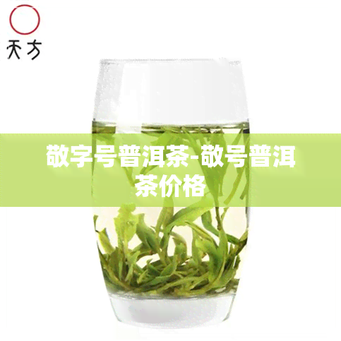 敬字号普洱茶-敬号普洱茶价格