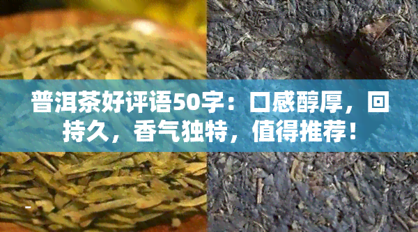 普洱茶好评语50字：口感醇厚，回持久，香气独特，值得推荐！