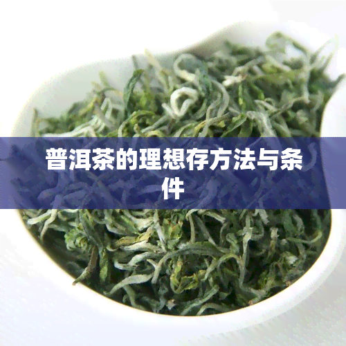 普洱茶的理想存方法与条件