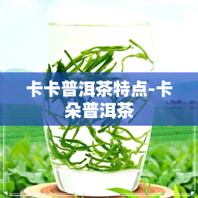 卡卡普洱茶特点-卡朵普洱茶