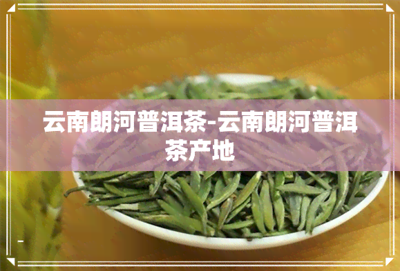 云南朗河普洱茶-云南朗河普洱茶产地