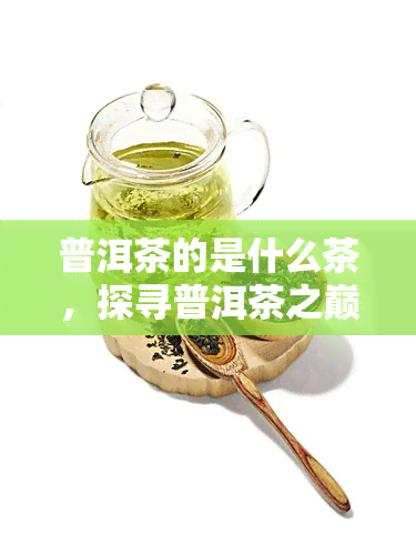 普洱茶的是什么茶，探寻普洱茶之巅：哪种普洱茶才是的？