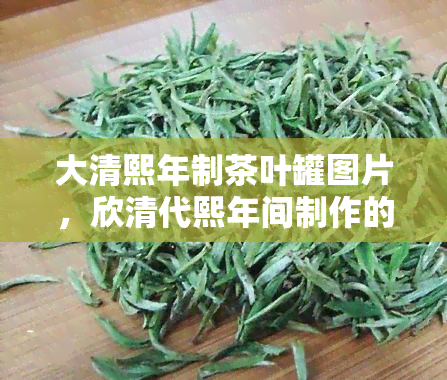 大清熙年制茶叶罐图片，欣清代熙年间制作的精美茶叶罐：珍贵历文物的视觉宴