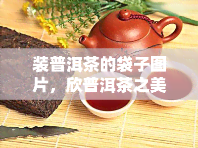 装普洱茶的袋子图片，欣普洱茶之美：装茶叶的袋子图片