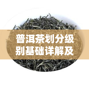 普洱茶划分级别基础详解及图表展示