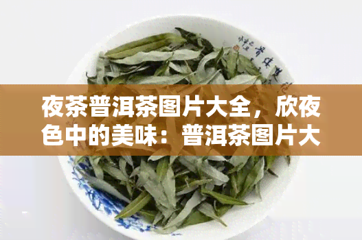 夜茶普洱茶图片大全，欣夜色中的美味：普洱茶图片大全