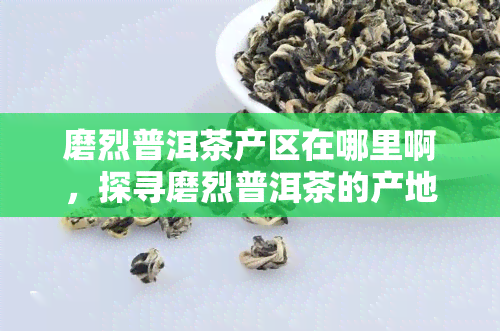 磨烈普洱茶产区在哪里啊，探寻磨烈普洱茶的产地：一次深度探访之旅