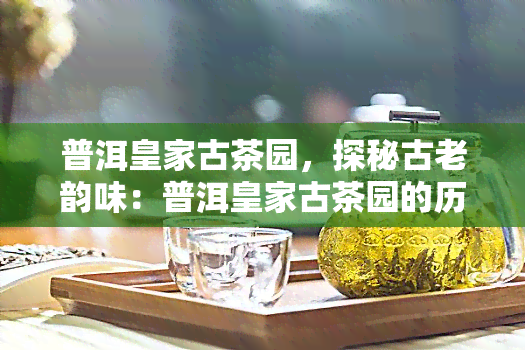 普洱皇家古茶园，探秘古老韵味：普洱皇家古茶园的历与魅力