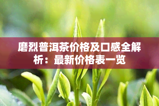 磨烈普洱茶价格及口感全解析：最新价格表一览