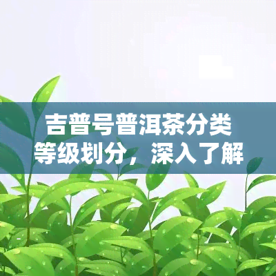 吉普号普洱茶分类等级划分，深入了解吉普号普洱茶：分类等级划分全解析