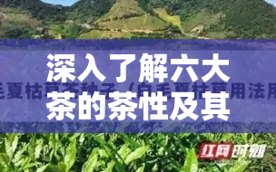 深入了解六大茶的茶性及其特点