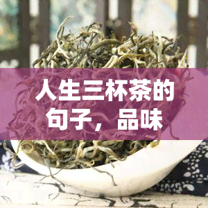 人生三杯茶的句子，品味人生：解读'人生三杯茶'的寓意和启示