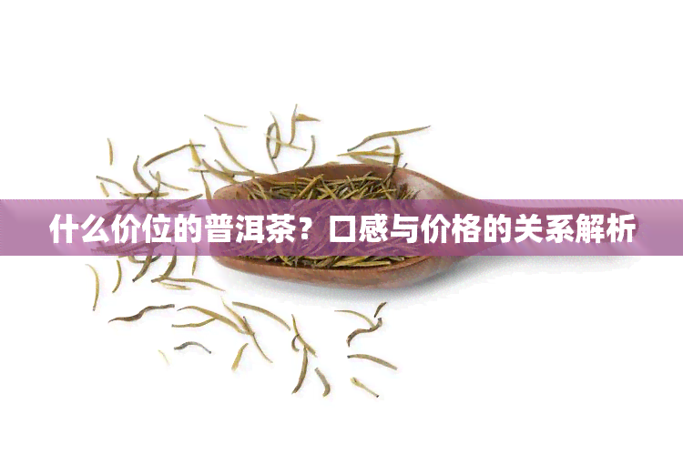 什么价位的普洱茶？口感与价格的关系解析