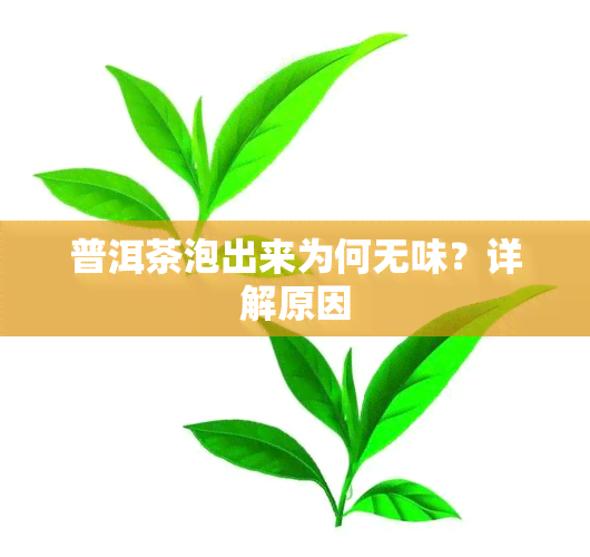 普洱茶泡出来为何无味？详解原因