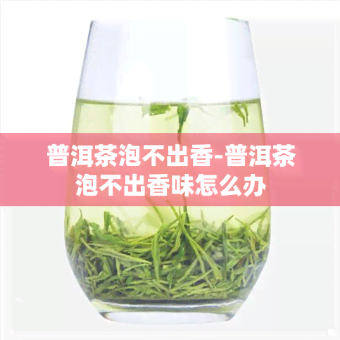 普洱茶泡不出香-普洱茶泡不出香味怎么办