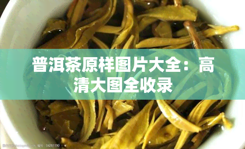 普洱茶原样图片大全：高清大图全收录