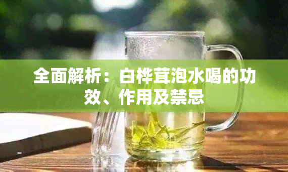 全面解析：白桦茸泡水喝的功效、作用及禁忌