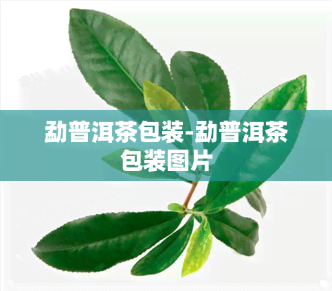 勐普洱茶包装-勐普洱茶包装图片