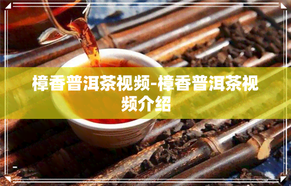 樟香普洱茶视频-樟香普洱茶视频介绍