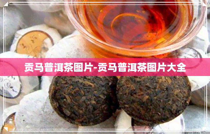 贡马普洱茶图片-贡马普洱茶图片大全