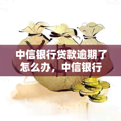 中信银行贷款逾期了怎么办，中信银行贷款逾期解决攻略