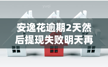 安逸花逾期2天然后提现失败明天再来，逾期两天后提现失败，明天再试？——安逸花的还款提醒