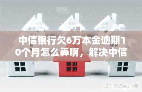 中信银行欠6万本金逾期10个月怎么弄啊，解决中信银行欠款问题：6万本金逾期10个月的应对策略