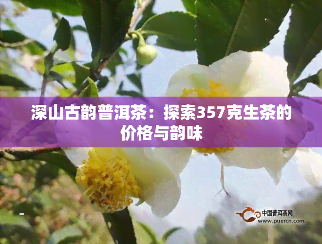 深山古韵普洱茶：探索357克生茶的价格与韵味