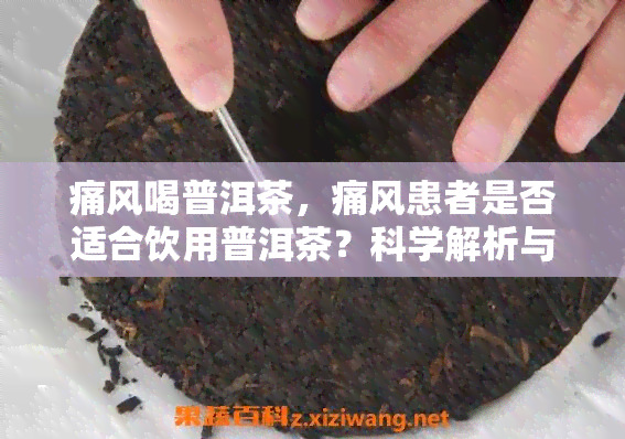 痛风喝普洱茶，痛风患者是否适合饮用普洱茶？科学解析与建议