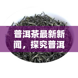 普洱茶最新新闻，探究普洱茶行业新动态：最新新闻热门话题解析