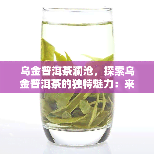 乌金普洱茶澜沧，探索乌金普洱茶的独特魅力：来自澜沧的风味之旅